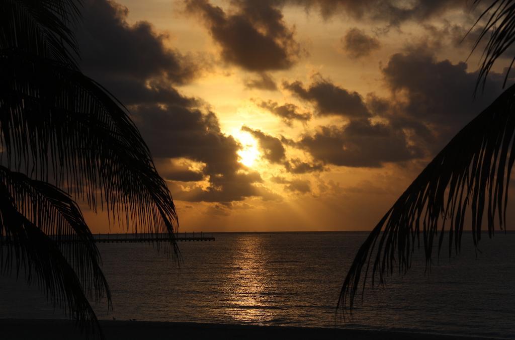 Skyline Suite Playa del Carmen Room photo